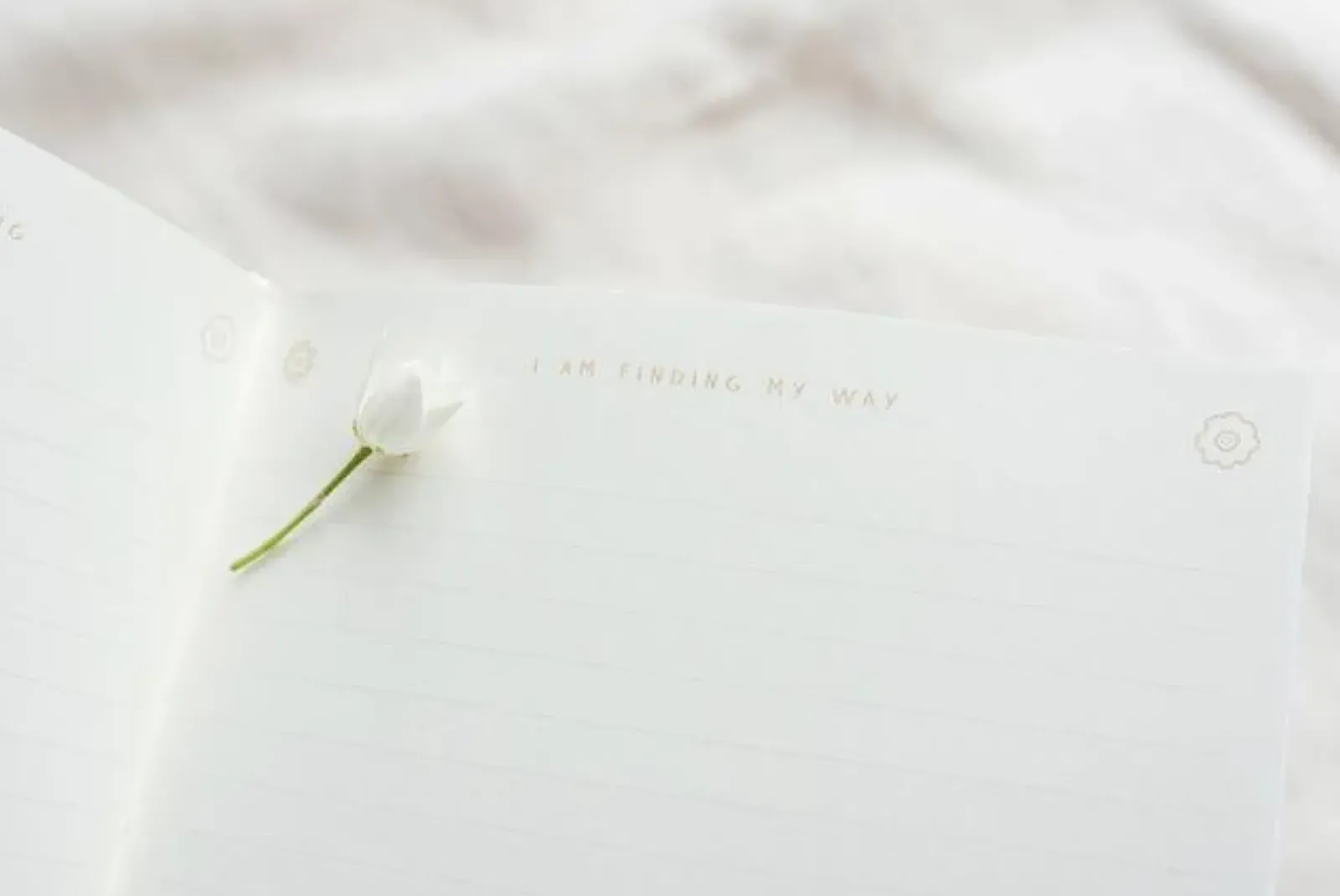 Musings from the Moon A5 Journal